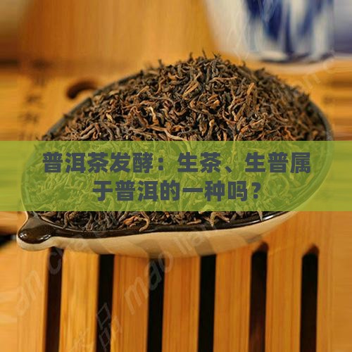 生普洱茶是发酵的吗