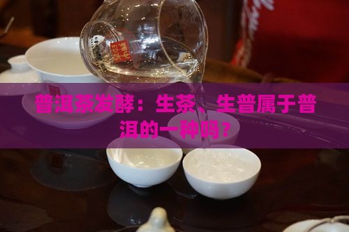 生普洱茶是发酵的吗