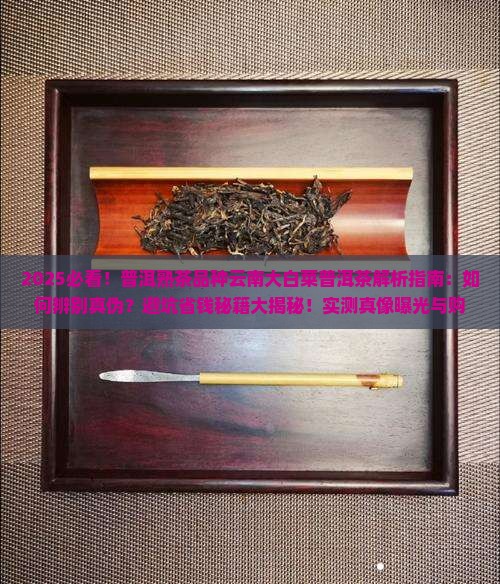 普洱熟茶品种云南大白菜普洱茶