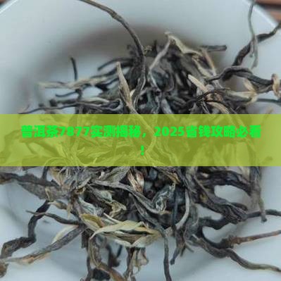 普洱茶7877