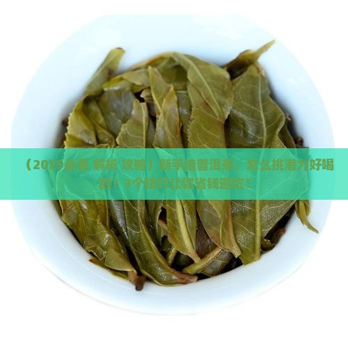 什么普洱茶潜力大一点好喝