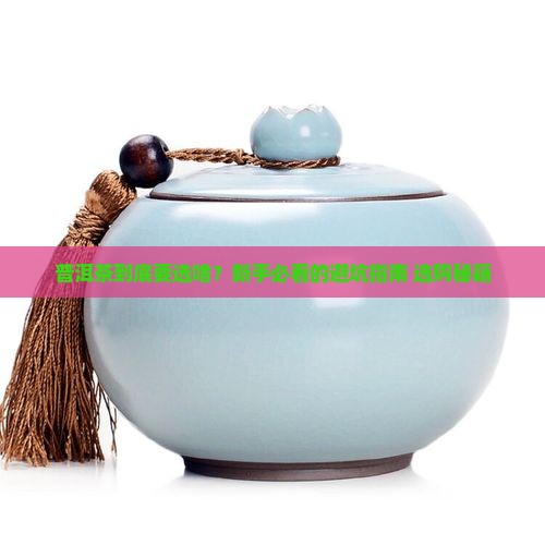 普洱茶要选什么样的