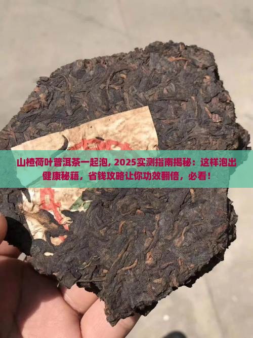 山楂荷叶普洱茶一起泡