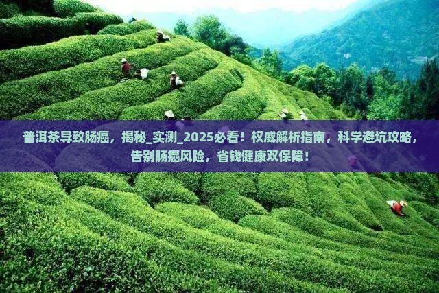 普洱茶导致肠癌