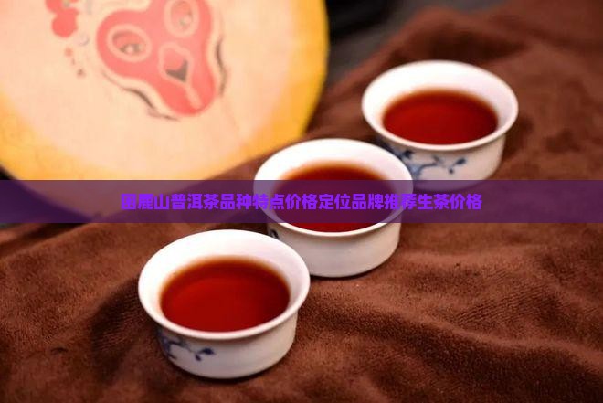 困鹿山普洱茶品种