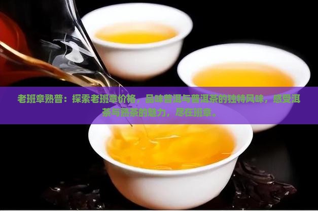 95年老班章熟普