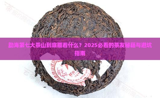 勐海第七大茶山