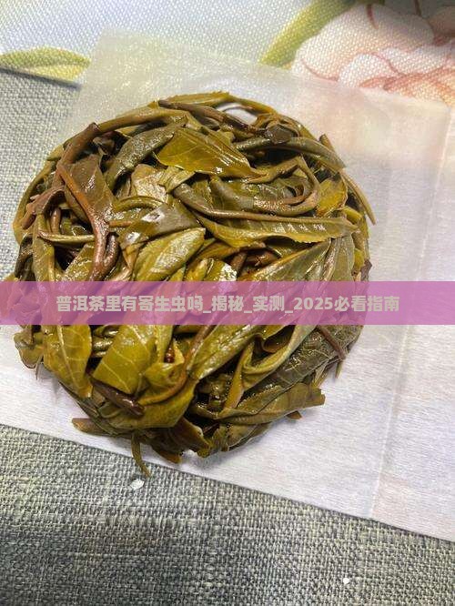 普洱茶里有寄生虫吗
