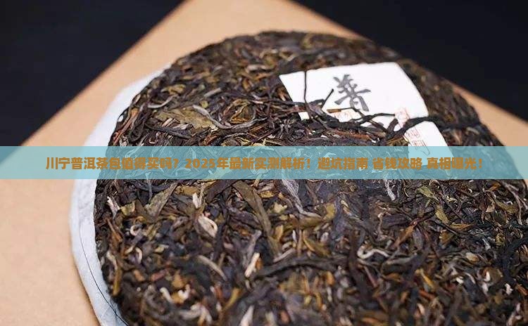 川宁普洱茶包怎么样