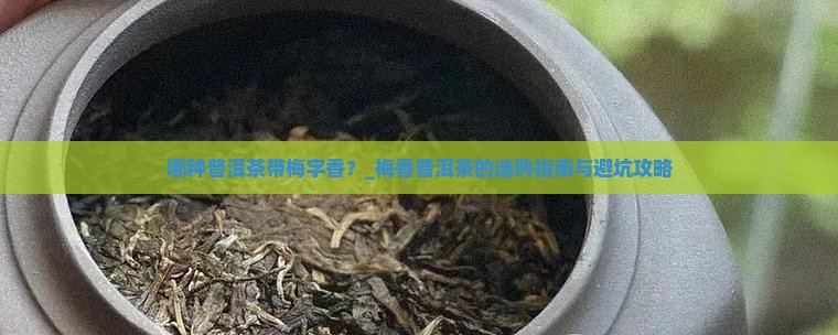 哪种普洱茶带梅字香