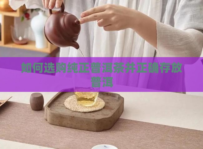 如何选购纯正的普洱茶存放
