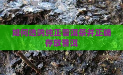如何选购纯正的普洱茶存放