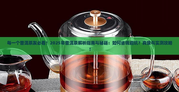 每一个普洱茶友