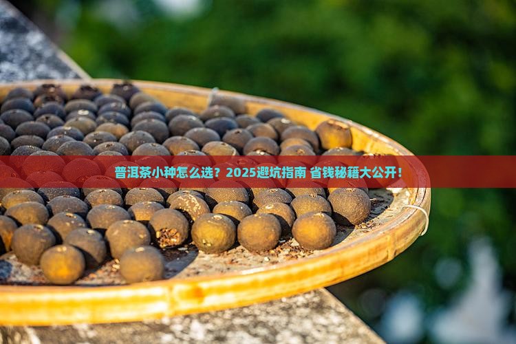 普洱茶小种哪个好