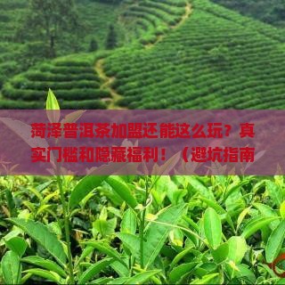 菏泽普洱茶加盟条件