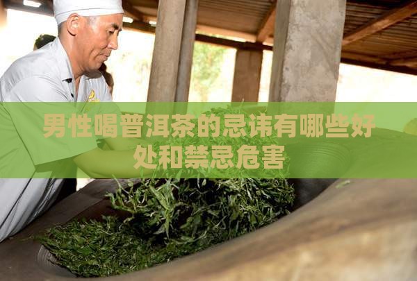 男性喝普洱茶的忌讳