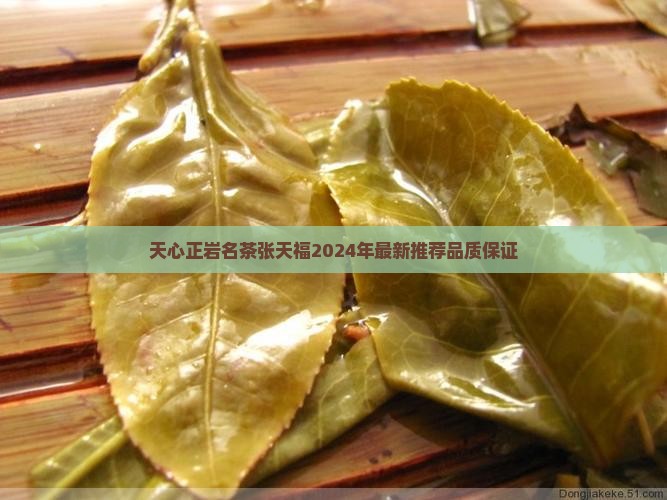 天心正岩名茶张天福