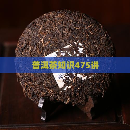 普洱茶知识475讲