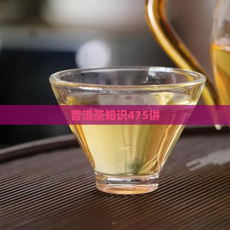 普洱茶知识475讲