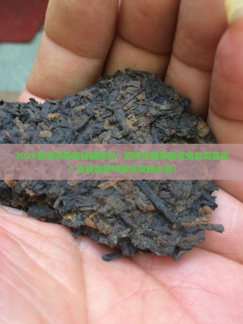 普洱茶能放在什么地方 普洱茶能放在什么地方