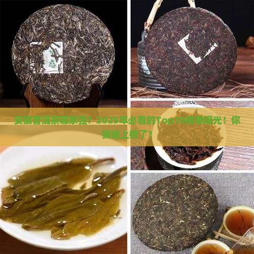 安徽普洱茶工厂排名榜前十名