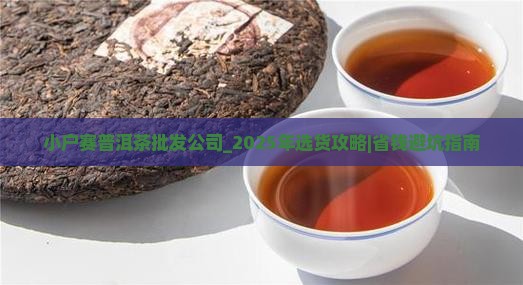 小户赛普洱茶批发公司 小户赛普洱茶批发公司