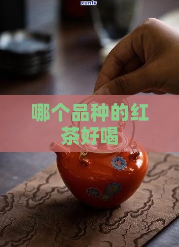 哪个品种的红茶好喝