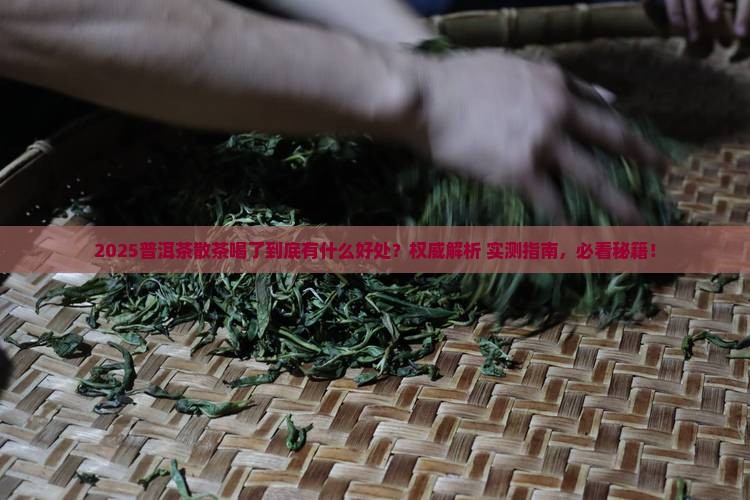 普洱茶散茶喝了有什么好处 普洱茶散茶喝了有什么好处