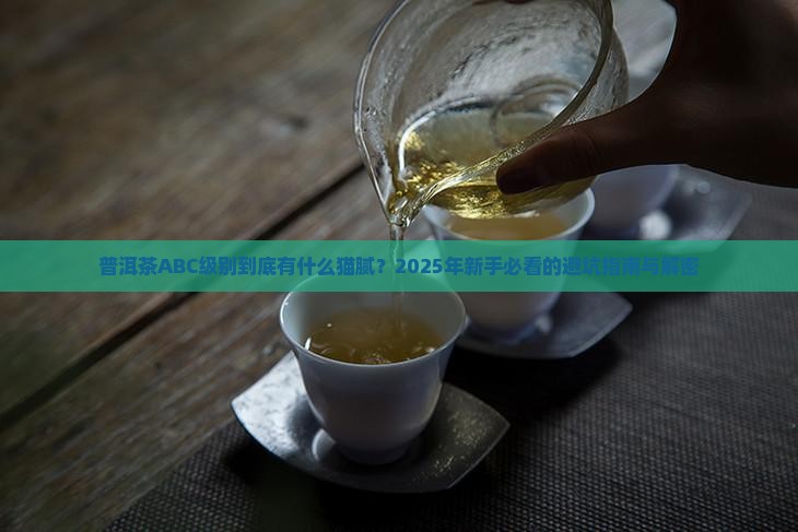 普洱茶ABC级别