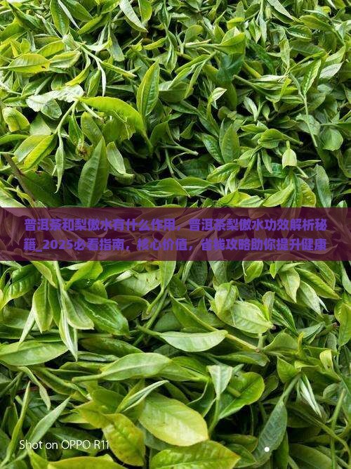 普洱茶和梨傲水有什么作用