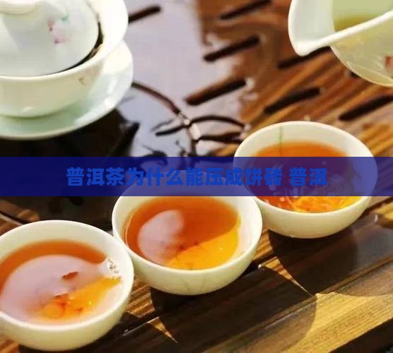 普洱茶为什么能压成饼砖