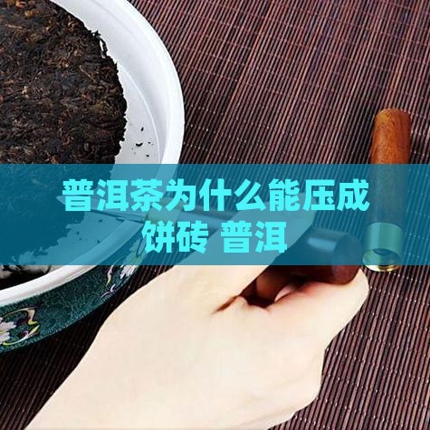普洱茶为什么能压成饼砖