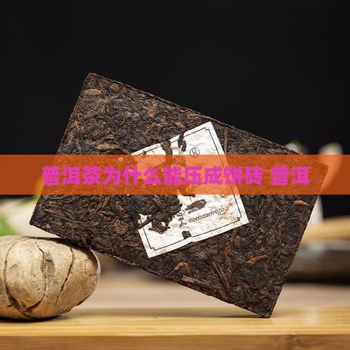 普洱茶为什么能压成饼砖