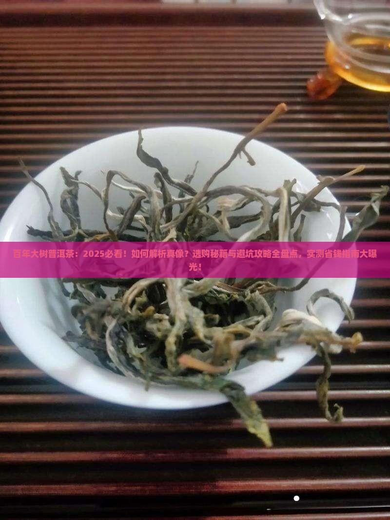 百年大树普洱茶