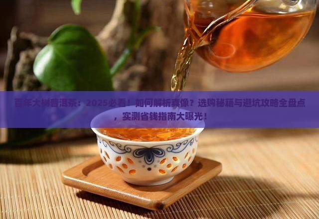 百年大树普洱茶