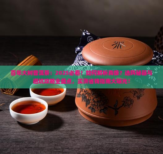 百年大树普洱茶