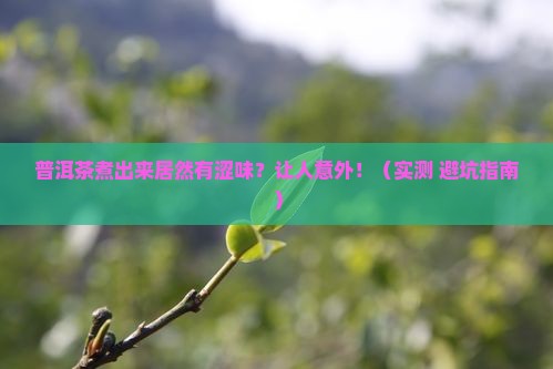 普洱茶煮后会有涩味吗