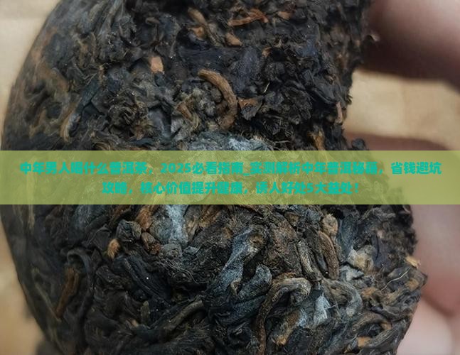 中年男人喝什么普洱茶