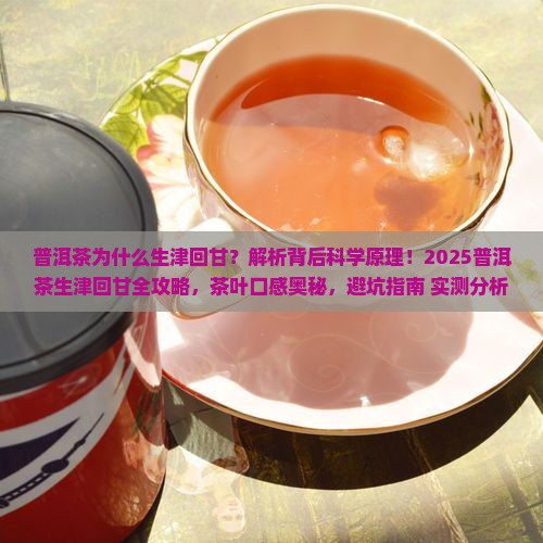 普洱茶的生津回甘原因