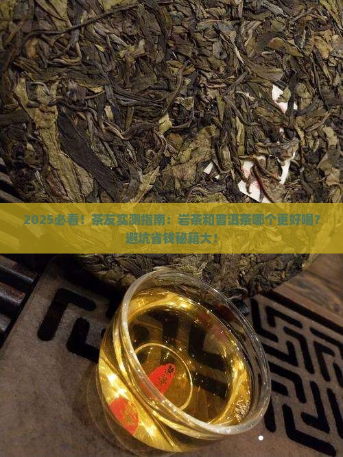 岩茶对比普洱茶哪个好