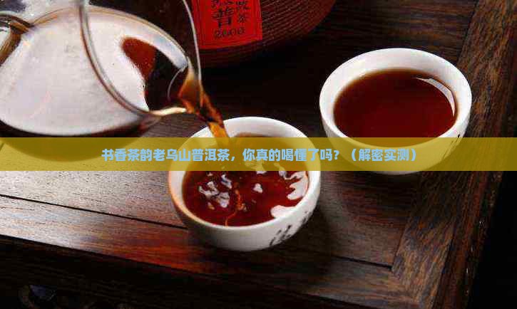 书香茶韵老乌山普洱茶