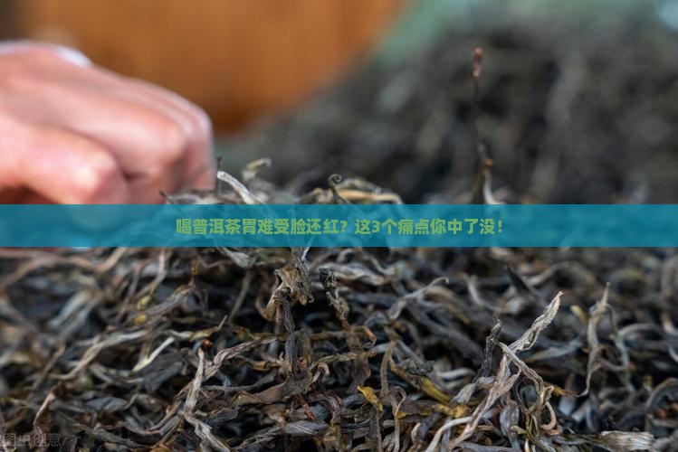 喝普洱茶胃难受脸还红