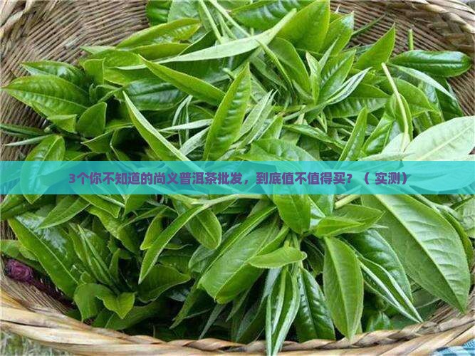 尚义普洱茶批发