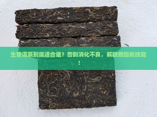 生普洱茶的适宜人群