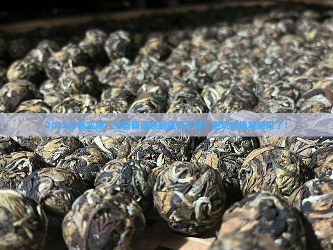 洪普普洱茶好不好