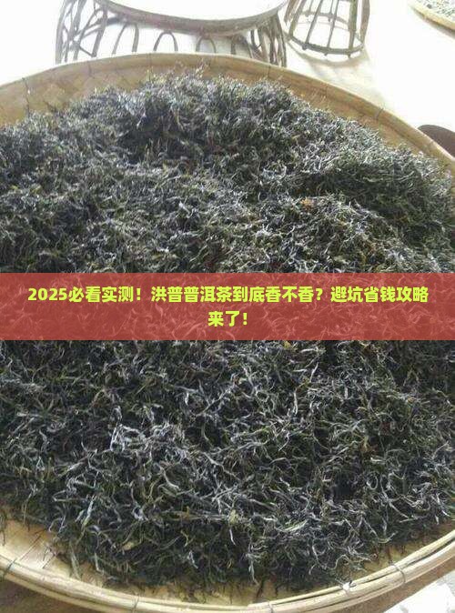 洪普普洱茶好不好