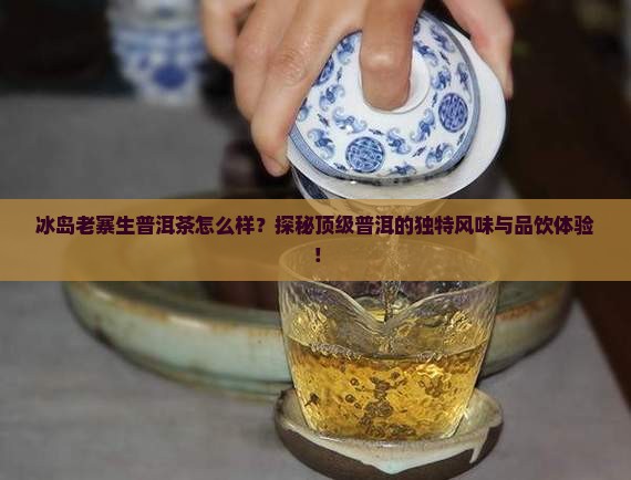 冰岛老寨生普洱茶怎么样