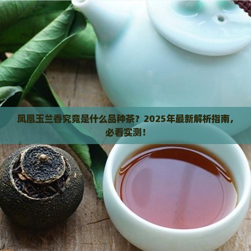 凤凰玉兰香什么品种茶