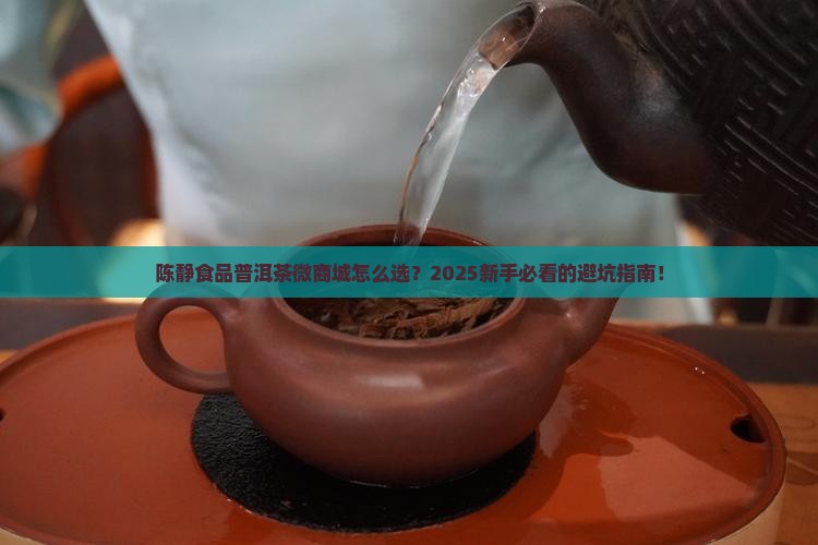 陈静食品普洱茶微商城