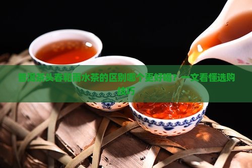 普洱茶头春和雨水茶的区别